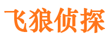 四会市出轨取证